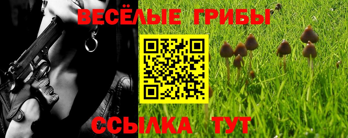 Галлюциногенные грибы Psilocybine cubensis  Вход с VPN  Партизанск 