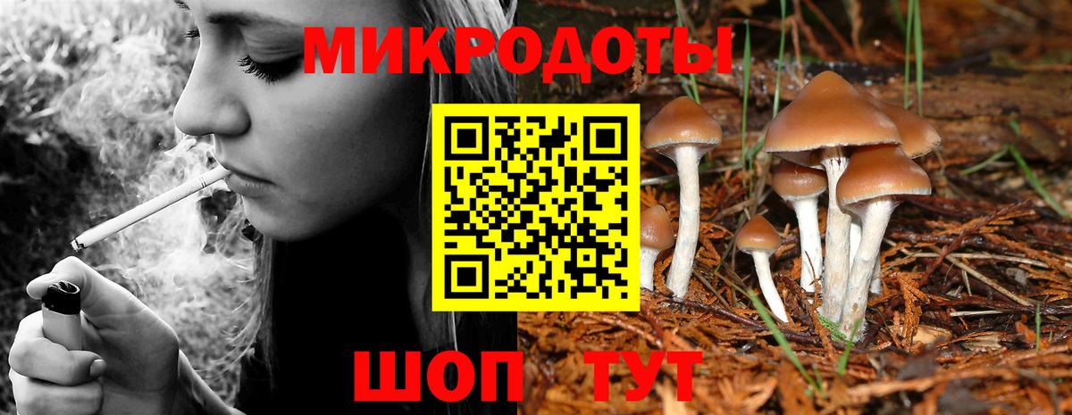 Галлюциногенные грибы прущие грибы Партизанск